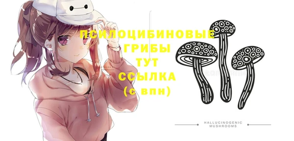 spice Алексин