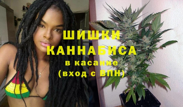 spice Алексин