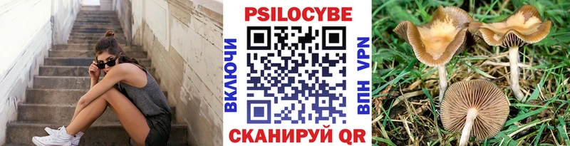 Псилоцибиновые грибы Psilocybe  наркотики  Волгоград 